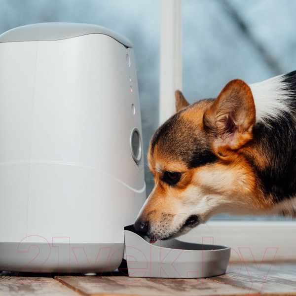 Изображение товара Кормушка автоматическая для животных Petoneer Nutri Feeder / FDW010