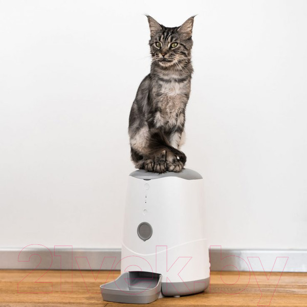 Изображение товара Кормушка автоматическая для животных Petoneer Nutri Feeder / FDW010
