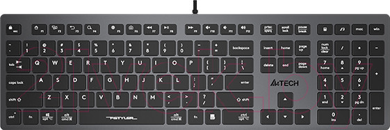 Изображение товара Клавиатура A4Tech Fstyler FX50 (черный/серый)