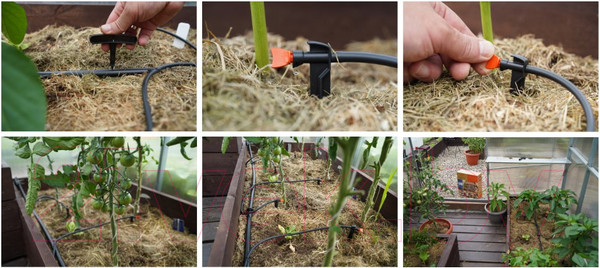 Изображение товара Система капельного полива Жук 5950-00