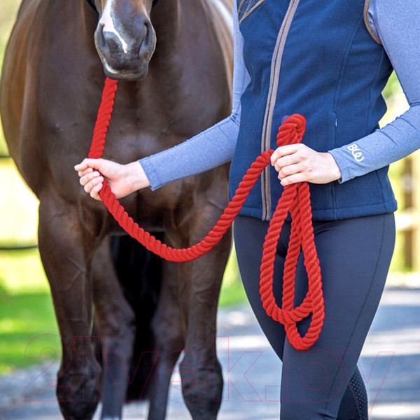 Изображение товара Чомбур для лошади Bridleway Bridleway Extra Long V760/RED (красный)