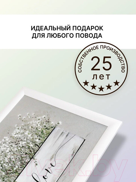 Изображение товара Картина Декарт Белые цветы 8Л3443 (в раме)