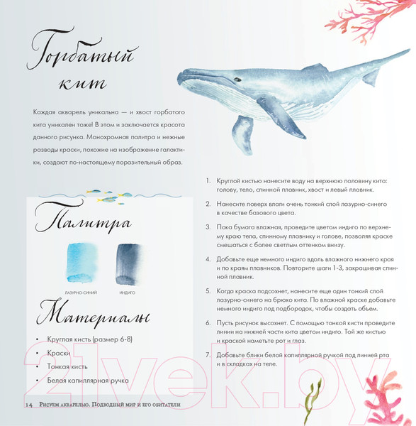 Изображение товара Книга Эксмо Рисуем акварелью. Подводный мир и его обитатели