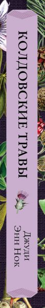 Изображение товара Книга Эксмо Колдовские травы. Ведьмовской путеводитель (Энн Нок Дж.)