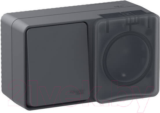 Изображение товара Блок выключатель+розетка Systeme (Schneider) Electric AtlasDesign Profi54 ATN544070