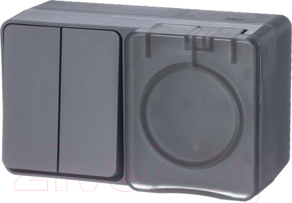 Изображение товара Блок выключатель+розетка Systeme (Schneider) Electric AtlasDesign Profi54 ATN544074