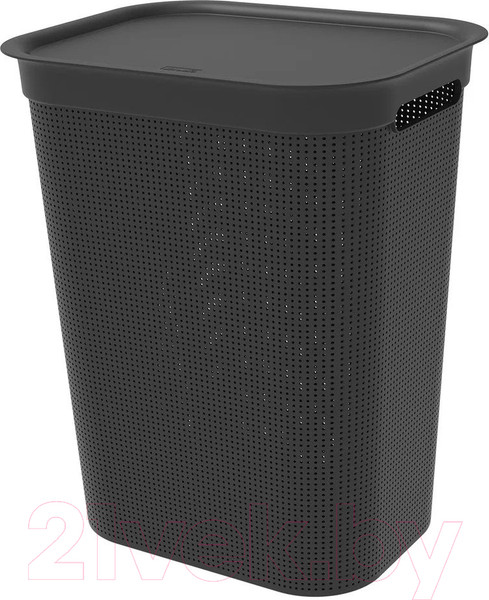 Изображение товара Корзина для белья Rotho Brisen / 1023508080 (50л, черный)