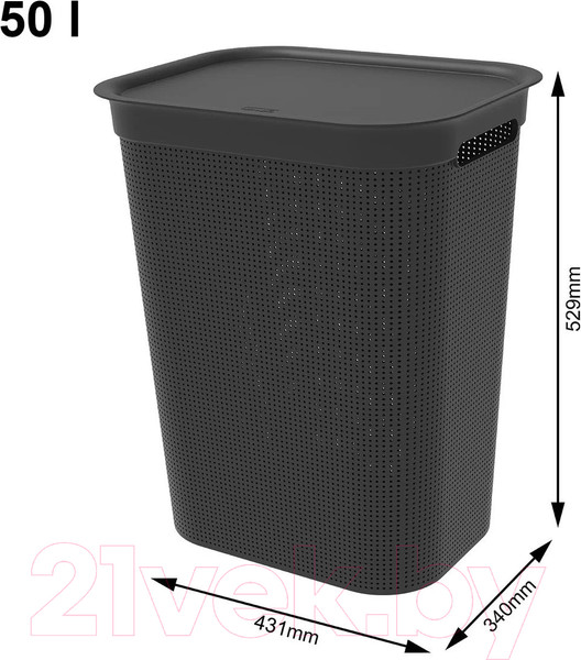 Изображение товара Корзина для белья Rotho Brisen / 1023508080 (50л, черный)