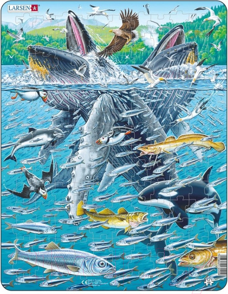 Изображение товара Пазл LARSEN Горбатые киты в стае сельди FH47