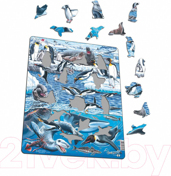 Изображение товара Пазл LARSEN Животный мир Антарктики FH48