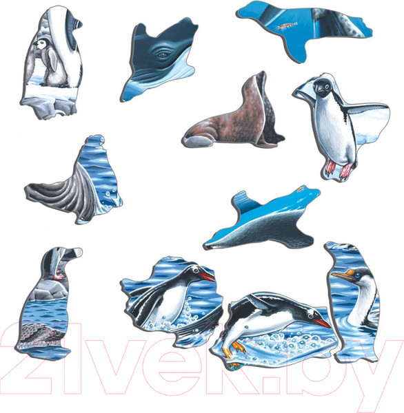 Изображение товара Пазл LARSEN Животный мир Антарктики FH48