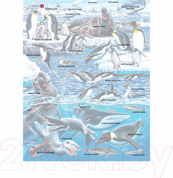 Изображение товара Пазл LARSEN Животный мир Антарктики FH48