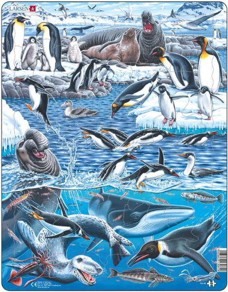 Изображение товара Пазл LARSEN Животный мир Антарктики FH48