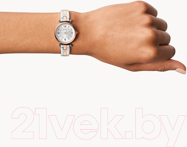 Изображение товара Часы наручные женские Fossil ES5201