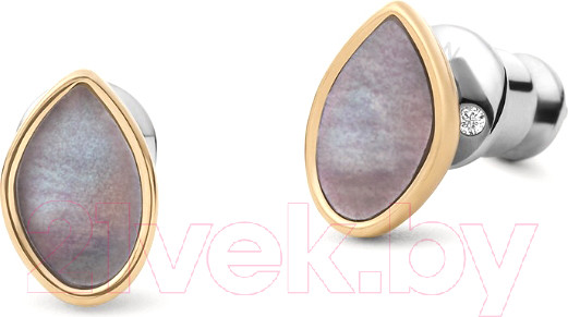 Изображение товара Серьги Skagen SKJ1554710