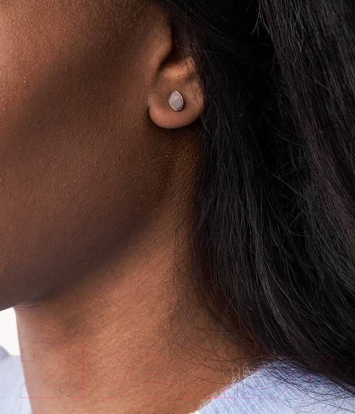 Изображение товара Серьги Skagen SKJ1554710