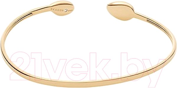Изображение товара Браслет Skagen SKJ1556710