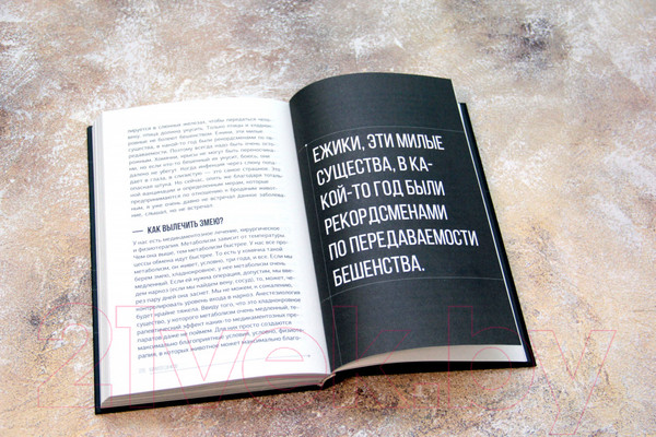 Изображение товара Книга АСТ 10 глупых вопросов профессионалам, которые вы боялись задать (Федотова Е.)