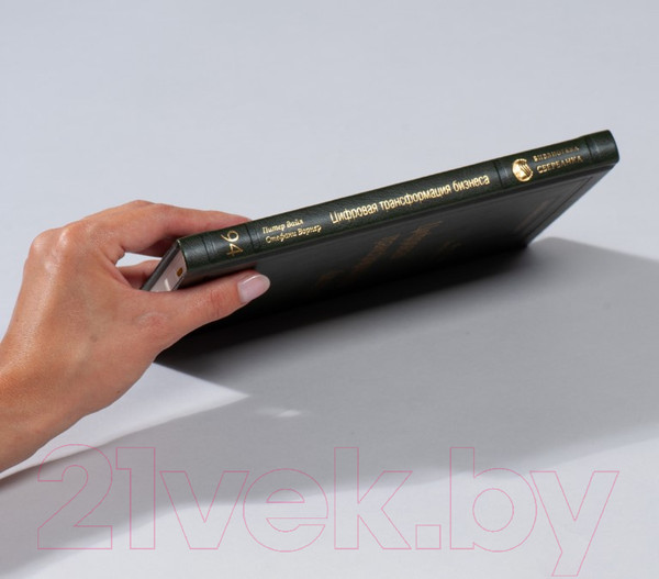 Изображение товара Книга Альпина Цифровая трансформация бизнеса (Вайл П., Ворнер С.)