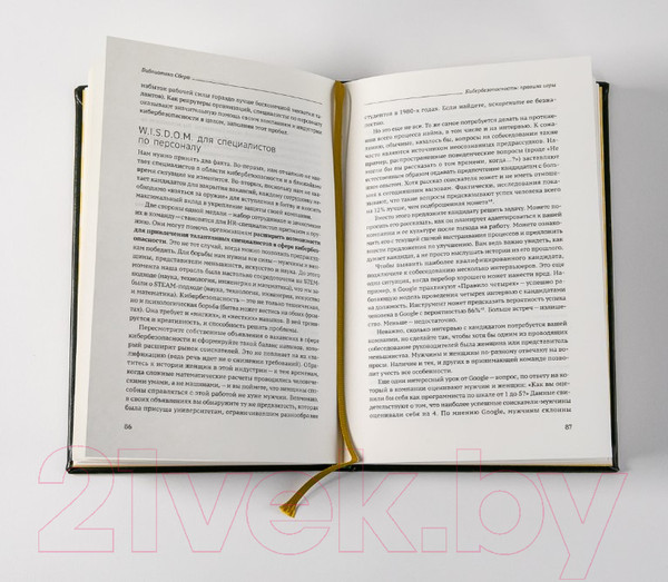 Изображение товара Книга Альпина Кибербезопасность: правила игры (Сэрра Э.)