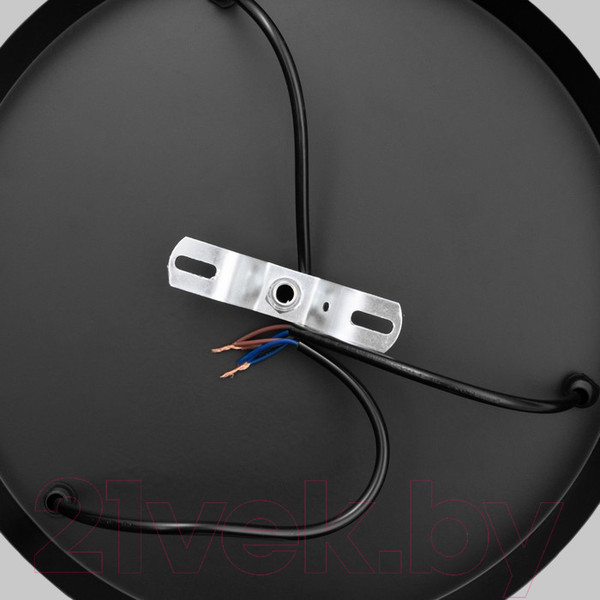 Изображение товара Потолочный светильник BayerLux Ортико 7349023 (черный)