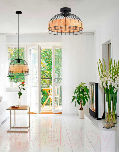 Изображение товара Потолочный светильник Eglo Anwick 43398