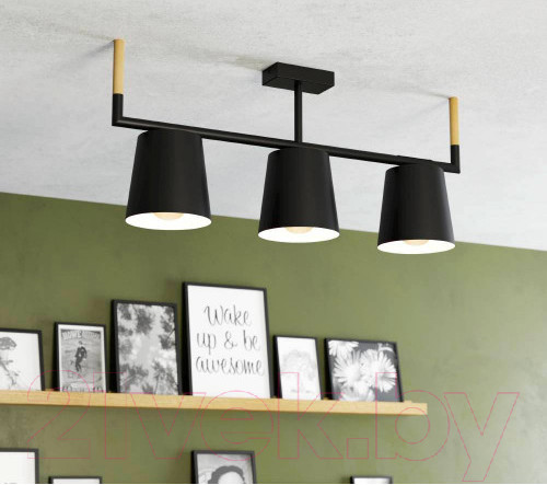 Изображение товара Люстра Eglo Lacey 43611