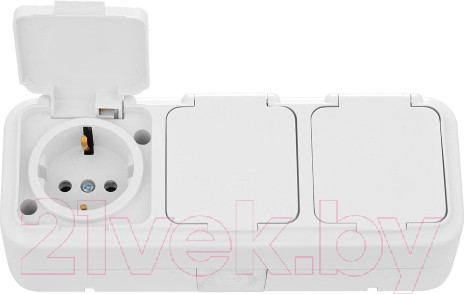 Изображение товара Розетка Bylectrica Пралеска аква РА16-0132 (белый)