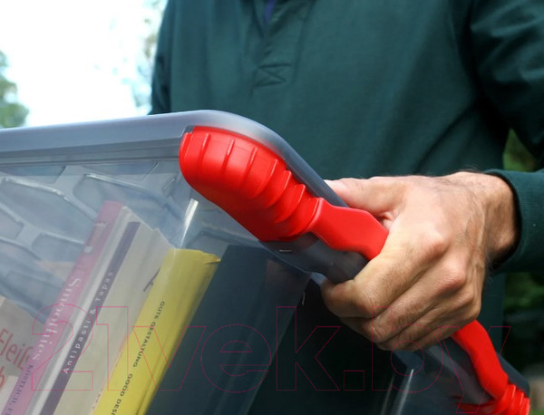 Изображение товара Контейнер для хранения Rotho Evo Total / 1008490000 (15л, антрацит/красный)