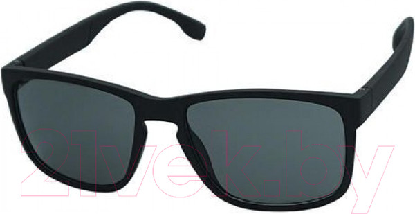 Изображение товара Очки солнцезащитные Robinson Polarized Glasses Gray / 93-SPO-022S