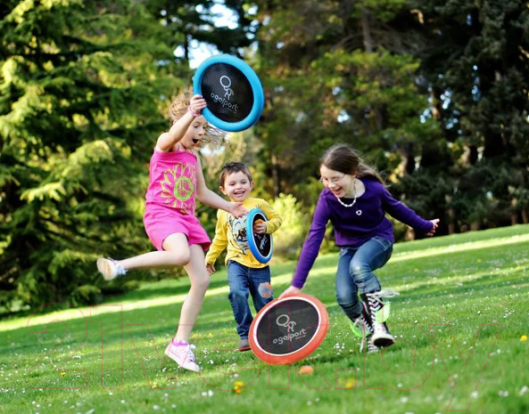 Изображение товара Активная игра OgoSport OgoDisk MAX / SK001