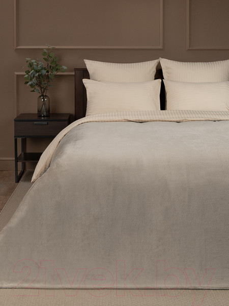 Изображение товара Плед TexRepublic Absolute Однотонный Фланель 140x200 / 37029 (серый-бежевый)