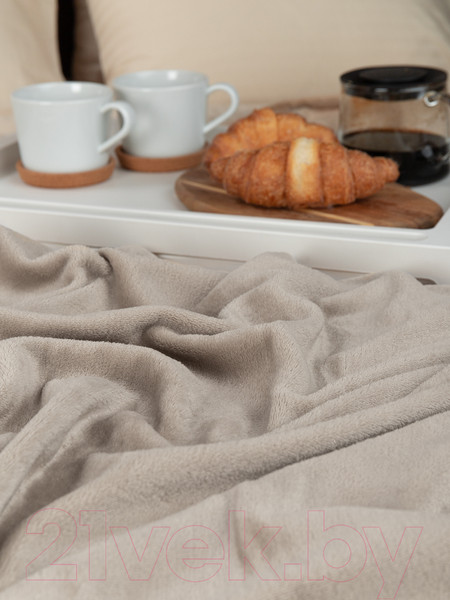 Изображение товара Плед TexRepublic Absolute Однотонный Фланель 140x200 / 37029 (серый-бежевый)