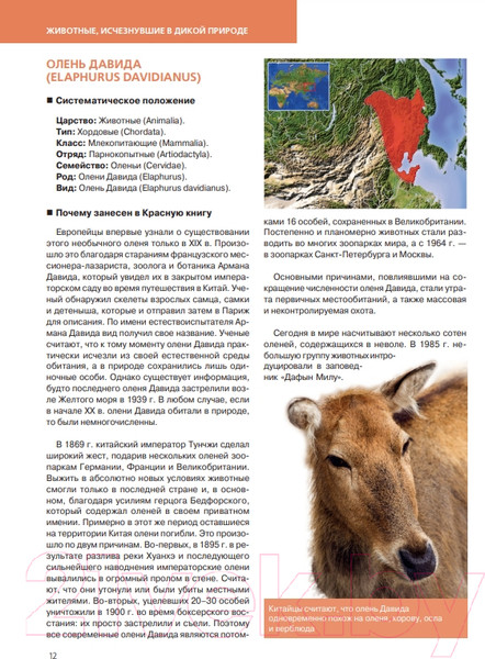 Изображение товара Энциклопедия Эксмо Красная книга. Животные мира (Скалдина О.В., Слиж Е.А.)