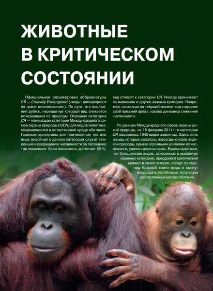 Изображение товара Энциклопедия Эксмо Красная книга. Животные мира (Скалдина О.В., Слиж Е.А.)