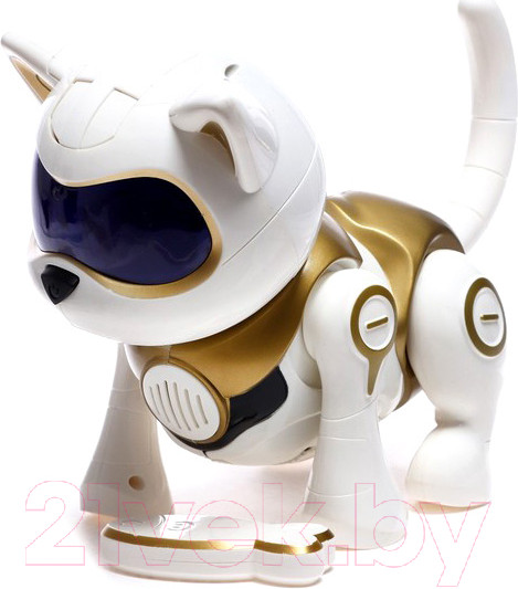 Изображение товара Робот IQ Bot Шерри / 7360936