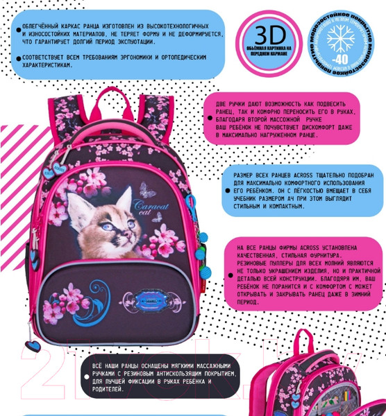 Изображение товара Школьный рюкзак Across ACR22-198-5