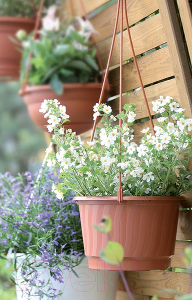 Изображение товара Вазон Prosperplast Pro DWP27-R624 (терракотовый)