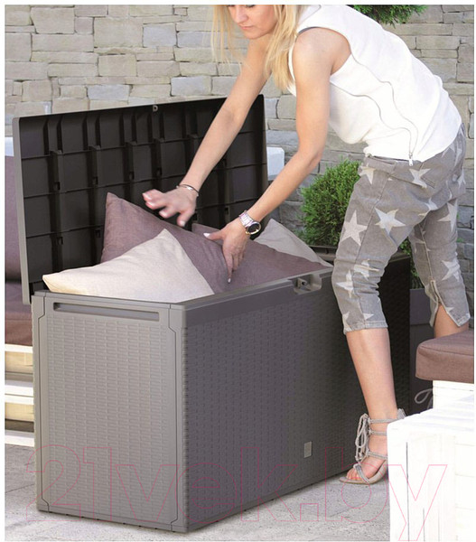Изображение товара Сундук уличный Prosperplast Boxe rato plus MBRP290-S433 (антрацит)