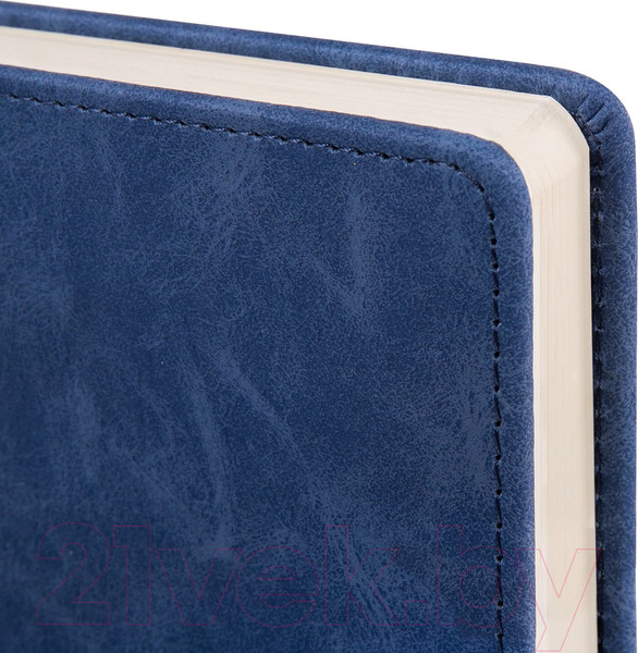 Изображение товара Ежедневник Brauberg Status / 113359 (темно-синий)