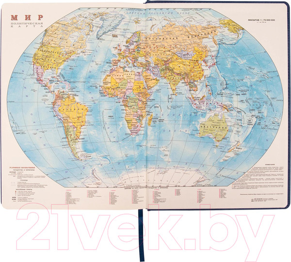 Изображение товара Ежедневник Brauberg Status / 113359 (темно-синий)