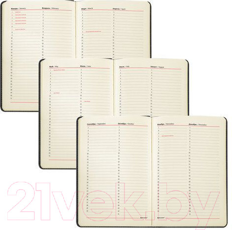 Изображение товара Еженедельник Brauberg Status / 113370 (черный)