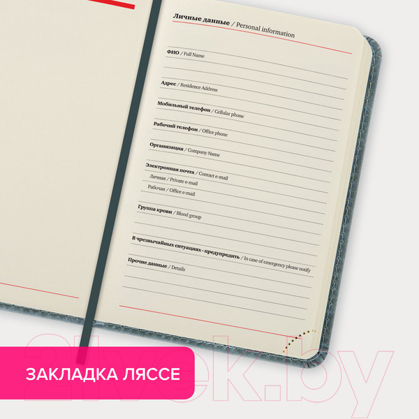 Изображение товара Ежедневник Brauberg Status / 113369 (серый/голубой)