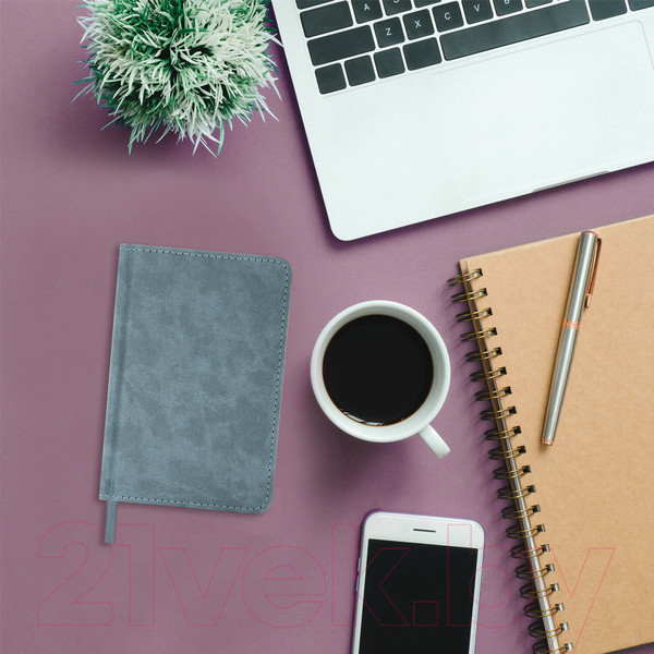 Изображение товара Ежедневник Brauberg Status / 113369 (серый/голубой)