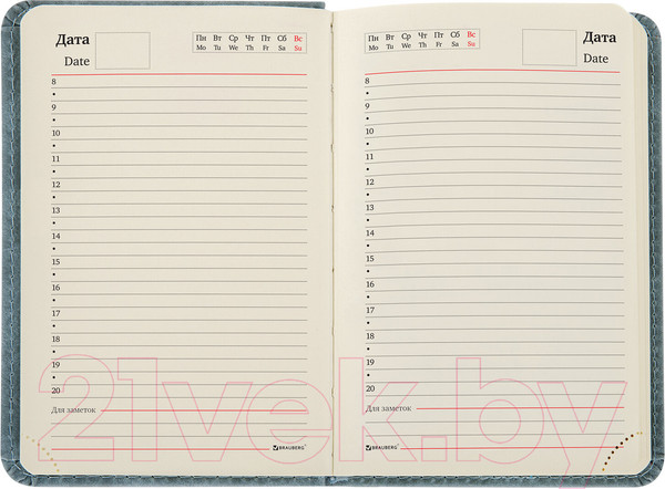 Изображение товара Ежедневник Brauberg Status / 113369 (серый/голубой)