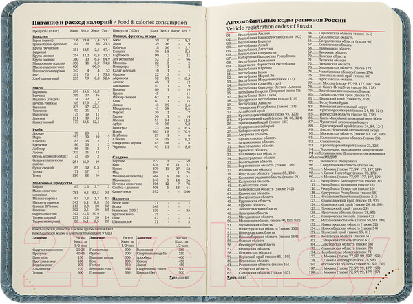 Изображение товара Ежедневник Brauberg Status / 113369 (серый/голубой)