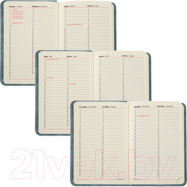 Изображение товара Ежедневник Brauberg Status / 113369 (серый/голубой)