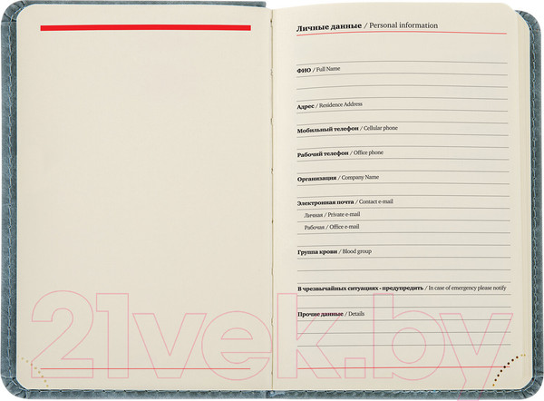 Изображение товара Ежедневник Brauberg Status / 113369 (серый/голубой)