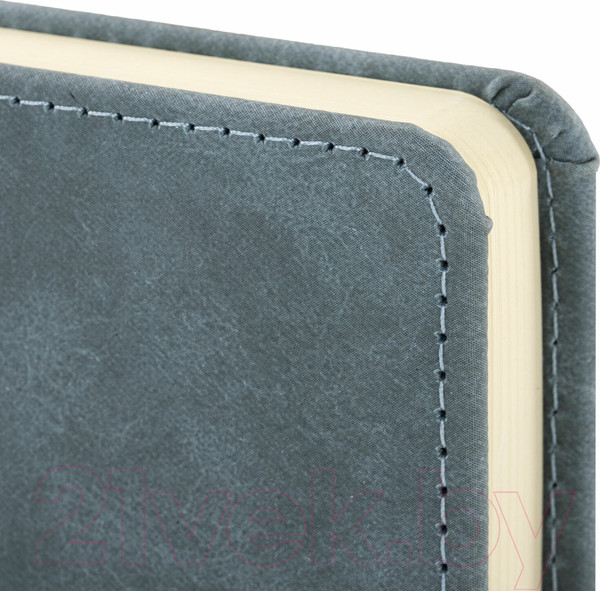 Изображение товара Ежедневник Brauberg Status / 113369 (серый/голубой)