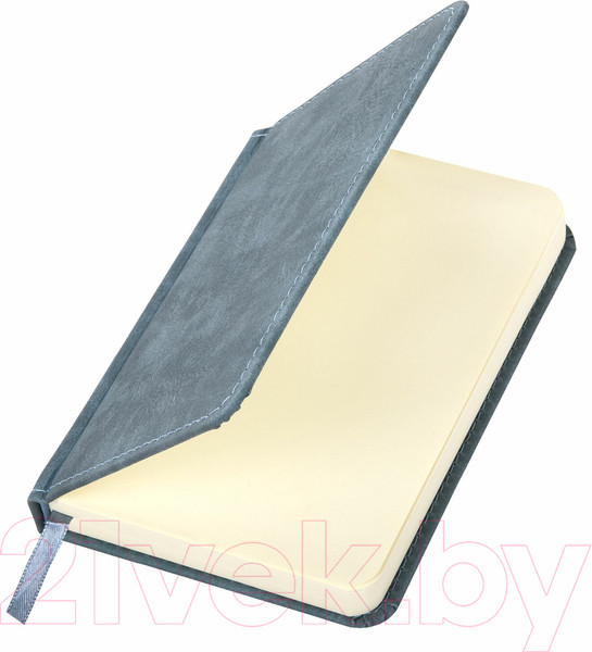 Изображение товара Ежедневник Brauberg Status / 113369 (серый/голубой)